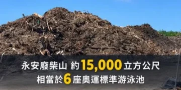 高雄農地變「廢柴山」！1.5萬立方米木材堆成山　驚人量可填6座泳池