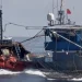 中秋連假中國漁船越界捕魚！　海巡強制登檢押返馬公港
