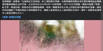 苗栗「粉紅花海」爆違法栽植！闢謠未獲核准 農業部發函下令移除