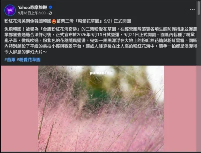 苗栗「粉紅花海」爆違法栽植!闢謠未獲核准 農業部發函下令移除