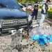 快訊／東山服務區離奇命案！70歲婦困帳篷2天亡　相驗結果曝