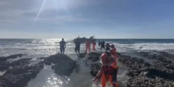 救援畫面曝光！紅柴坑漁港遊艇擱淺　海巡消防隊員繩索人力接駁救援17名乘客脫困