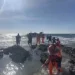 救援畫面曝光!紅柴坑漁港遊艇擱淺 海巡消防隊員繩索人力接駁救援17名乘客脫困
