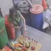以為遇上靈異事件!台南供桌可樂全消失 監視器:外國女倒供杯喝