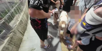 快訊／連假第三天！高雄瑞豐夜市傳衝突　因「狗沒繫牽繩」爭執