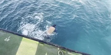 澎湖海傳憾事！漁船船長落海昏迷　海巡救援送醫不治