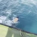 澎湖海傳憾事!漁船船長落海昏迷 海巡救援送醫不治