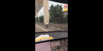 太驚險！82歲翁「電動代步車」開上國1　車流呼嘯而過畫面曝光