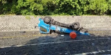 花蓮車禍蝦子掉滿地！　鳳林分局員警挽袖清理協助排除道路障礙