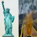 假藉傳教誘3名越南籍母親攜子女來台無償勞動! 越南籍女子遭彰檢起訴