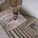 影/三樓粉刷突失衡!印度工人摔落「撞破木製平台再摔一樓」 當場身亡影片曝光