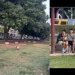 低空盤旋騷擾毛孩！台中廍興公園驚見空拍機「貼地騷擾」 警方勸導後兩男竟挑釁折返