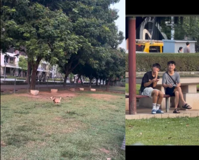 低空盤旋騷擾毛孩!台中廍興公園驚見空拍機「貼地騷擾」 警方勸導後兩男竟挑釁折返