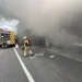 燒枯樹枝火沒滅就離開!高雄女釀火燒住宅、修車廠 判刑4月