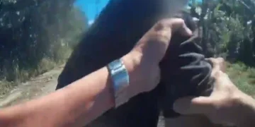 通緝犯拒捕踢警丟東西企圖撞警車！　警逮捕送辦開14張告發單