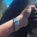 通緝犯拒捕踢警丟東西企圖撞警車! 警逮捕送辦開14張告發單
