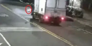 新店貓咪過馬路釀禍！　害小貨車撞3車2人受傷