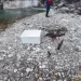 公德心在哪?民眾赴花蓮溪邊烤肉目睹滿地垃圾 氣炸PO網引熱議:沒水準垃圾人!