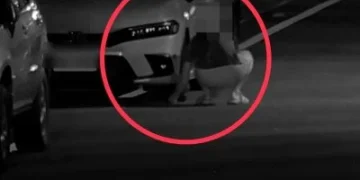 太惡劣！花蓮轎車輪胎下遭放「水泥鋼釘」釘尖朝上　警逮嫌犯送辦