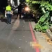 快訊/高醫心臟名醫朱志生車禍身亡!騎車遇貓突竄閃避不及 人貓雙亡