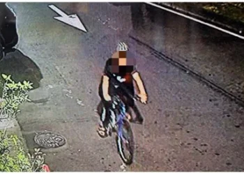 嘉義男子遭持刀殺害！　兇嫌鄰居72歲翁桃園落網