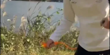 影／疑在日本河口湖噴除草劑！陸網紅稱「藥死雜草」惹怒全網　急改口：是純淨水