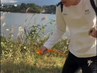 影/疑在日本河口湖噴除草劑!陸網紅稱「藥死雜草」惹怒全網 急改口:是純淨水