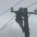 薔琵颱風造成彰化近2萬戶停電  台電戮力搶修復電
