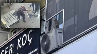影/監視器畫面曝光!土耳其男為救小貓「下秒欄杆斷裂」 3樓墜落摔死