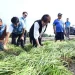 薔琵颱風重創農作 王惠美溪州勘災 籲加速農損查報爭取中央救助
