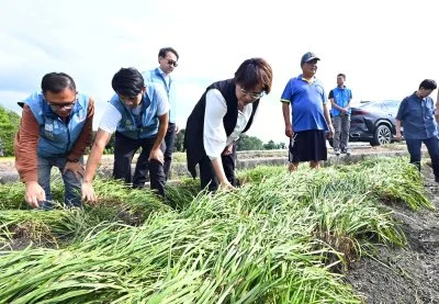 薔琵颱風重創農作 王惠美溪州勘災 籲加速農損查報爭取中央救助